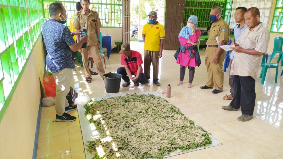 SOSIALISASI DAN PELATIHAN PEMBUATAN PAKAN SILASE UNTUK RUMINANSIA BESAR DAN KECIL DI KAMPUNG KLASMELEK
